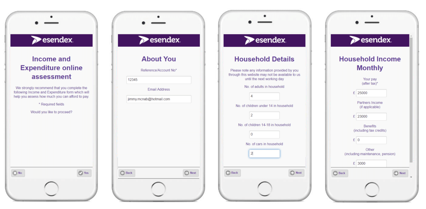 Income and expenditure mobile form